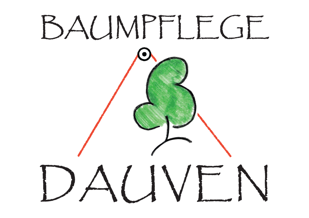 Baumpflege Dauven